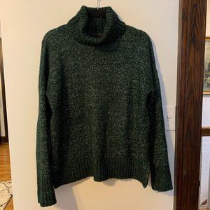 Banana Republic x Repreve Hunter Green Sweater M